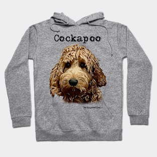 Red Cockapoo / Spoodle and Doodle Dog Hoodie